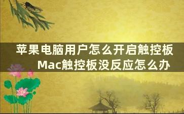 苹果电脑用户怎么开启触控板 Mac触控板没反应怎么办